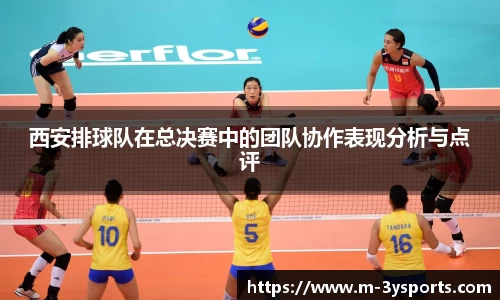 西安排球队在总决赛中的团队协作表现分析与点评