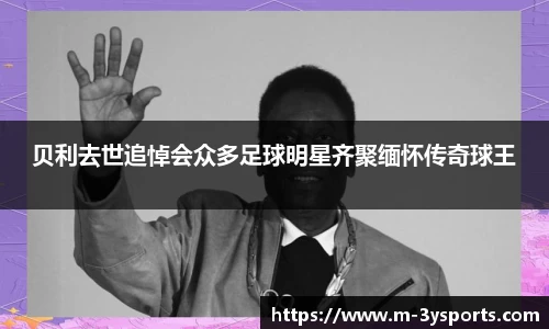 三亿体育