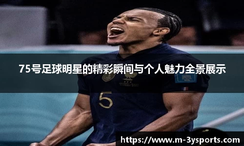 75号足球明星的精彩瞬间与个人魅力全景展示
